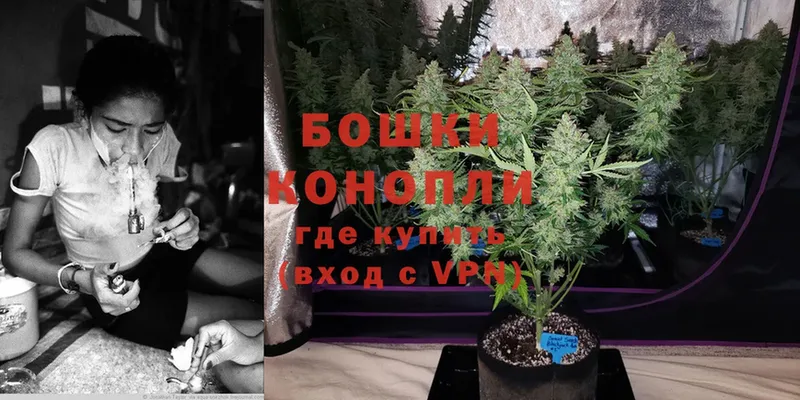 Марихуана SATIVA & INDICA  Вяземский 